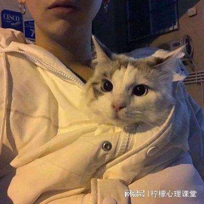 救救橙子吧手机版