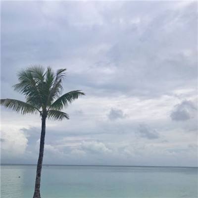 啪啪巫妖王破解版下载