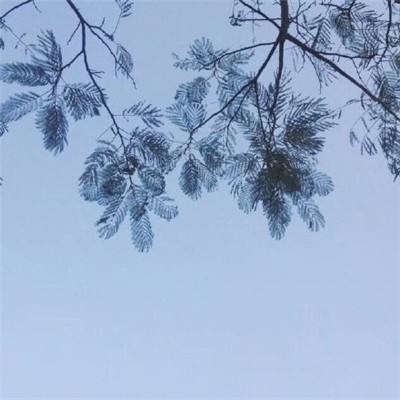 上海港集装箱吞吐量连续两月大增